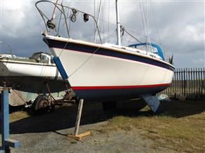 Westerly Konsort