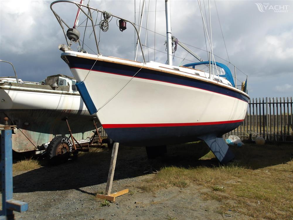 Westerly Konsort - 108 0082