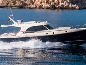 Mochi Craft Dolphin 54