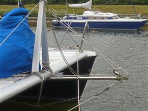 Rhebergen Havkat 31