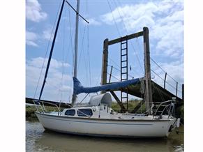 Hurley 22