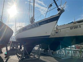 HALLBERG RASSY 312 MKI