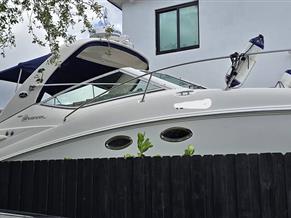 Sea Ray 290 Sundancer
