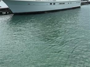 Hatteras Hatteras 70