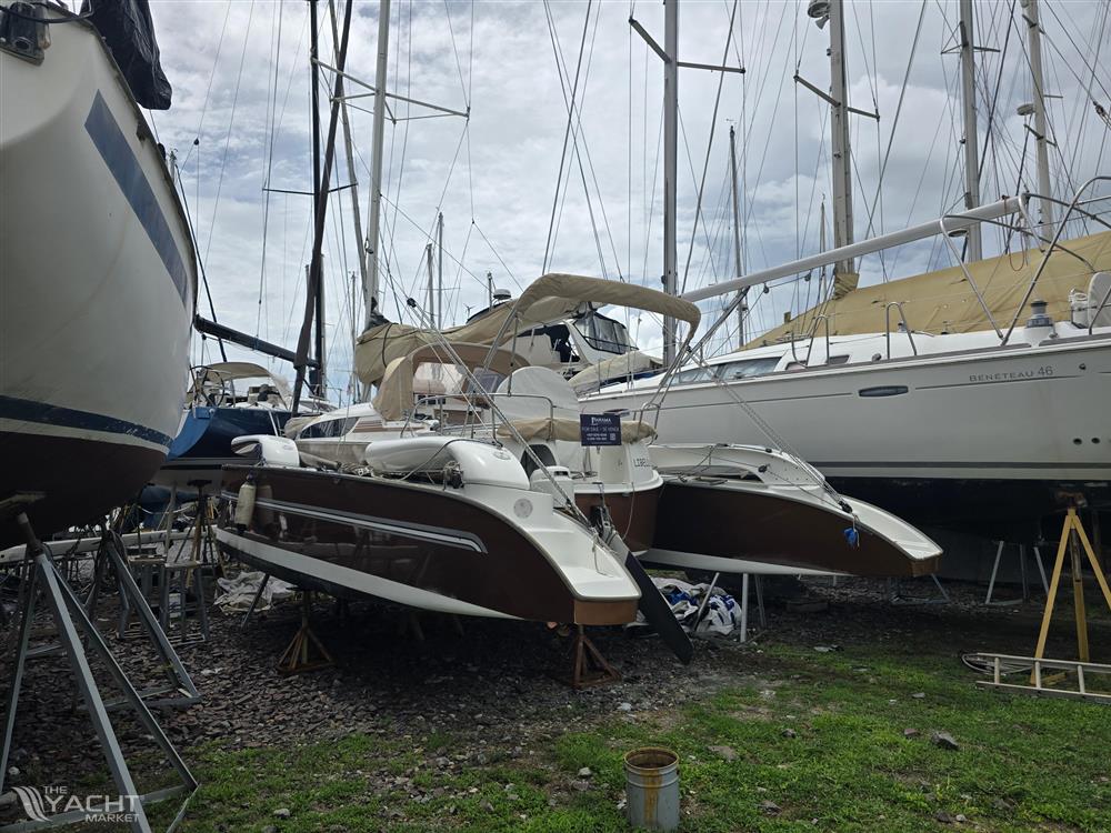 Dragonfly 32 Swing Wing Supreme