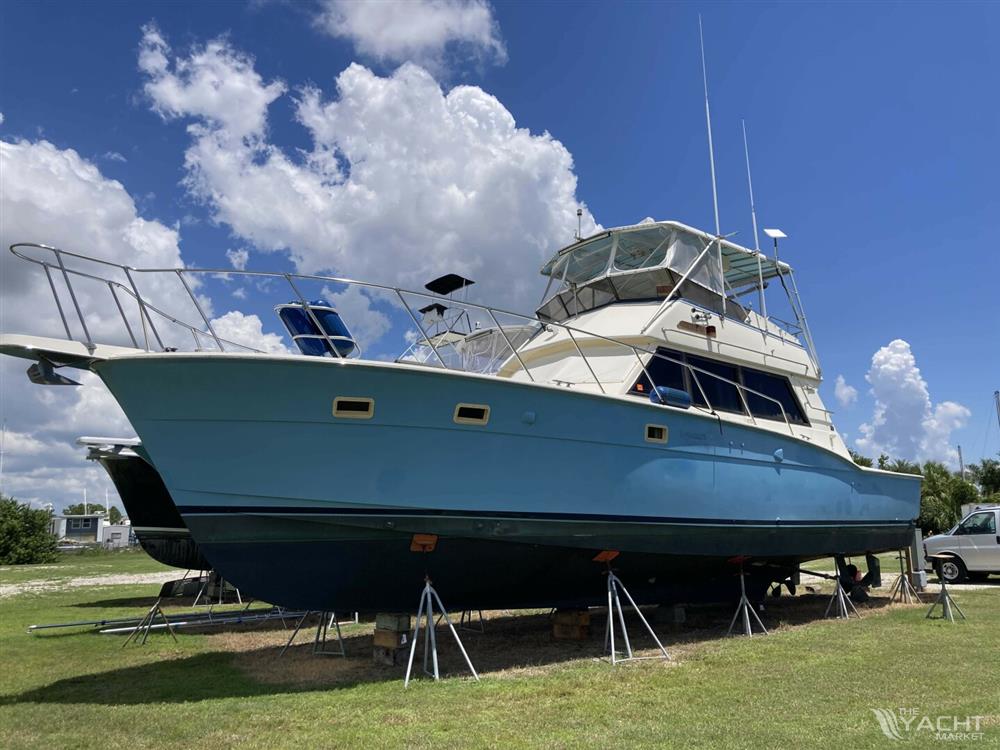 Hatteras Sport Fish