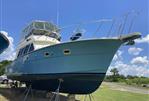 Hatteras Sport Fish
