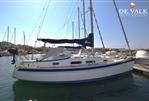 Hallberg Rassy 310 - Picture 2