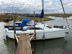 Hunter Hunter Ranger 245