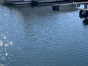 Nimbus (SE) Nimbus 365 Coupe