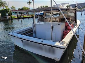 Island Hopper 31 HT