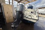 Boston Whaler Dauntless 22