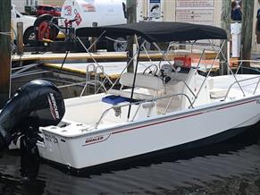Boston Whaler 21 Montauk