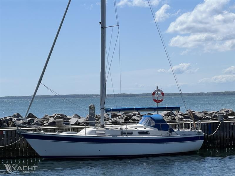 Hallberg Rassy HALLBERG RASSY 29