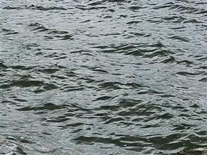 Sealine 320 Statesman