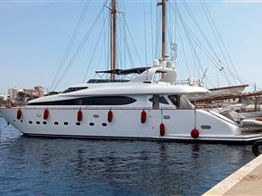 Maiora 31DP