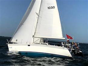 Catalina 320