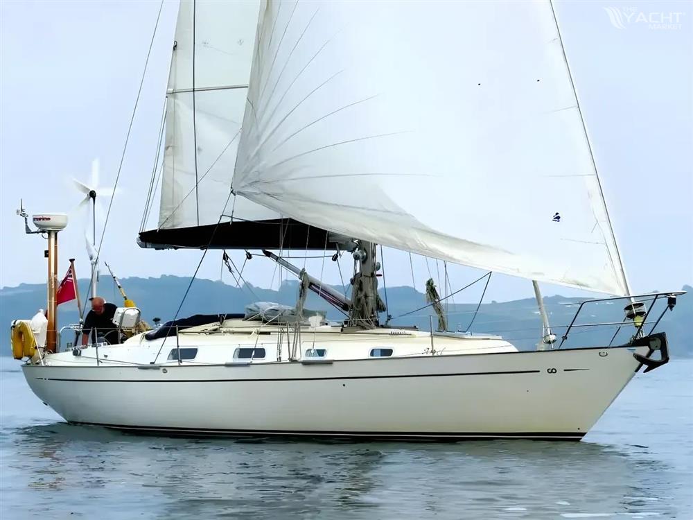 Contessa 38