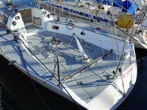 Carroll Marine Mumm 36