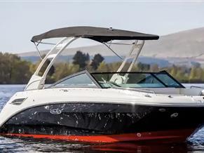 Sea Ray SDX 250