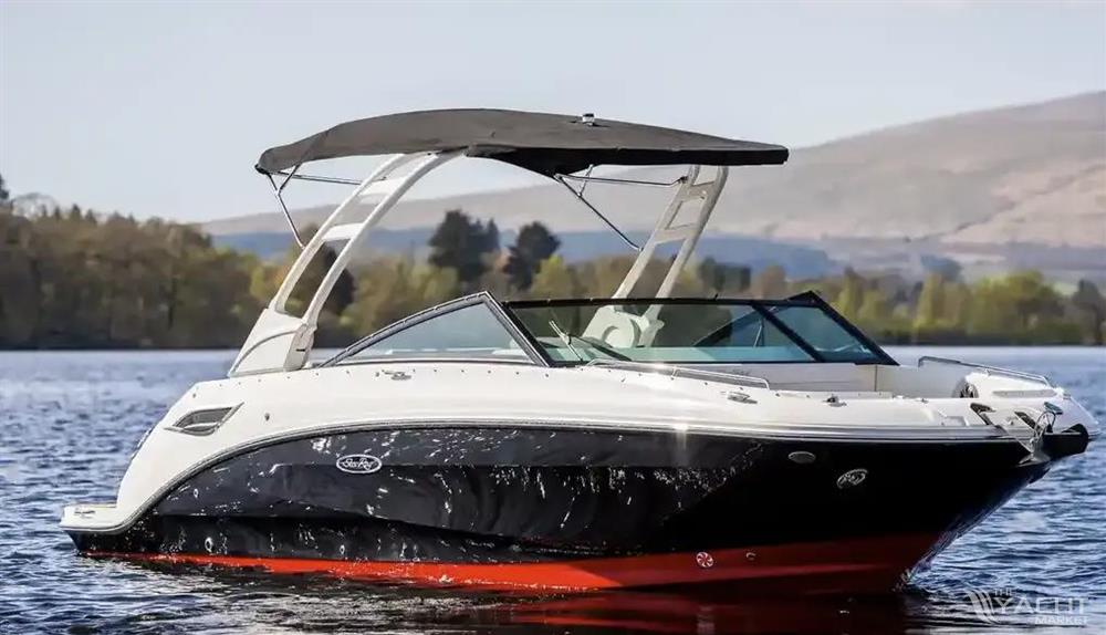 Sea Ray SDX 250