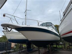 SEA RAY SUNDANCER 270