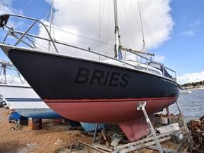 E.G. Van de Stadt Bries