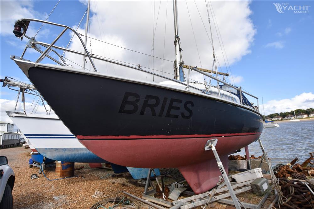 E.G. Van de Stadt Bries