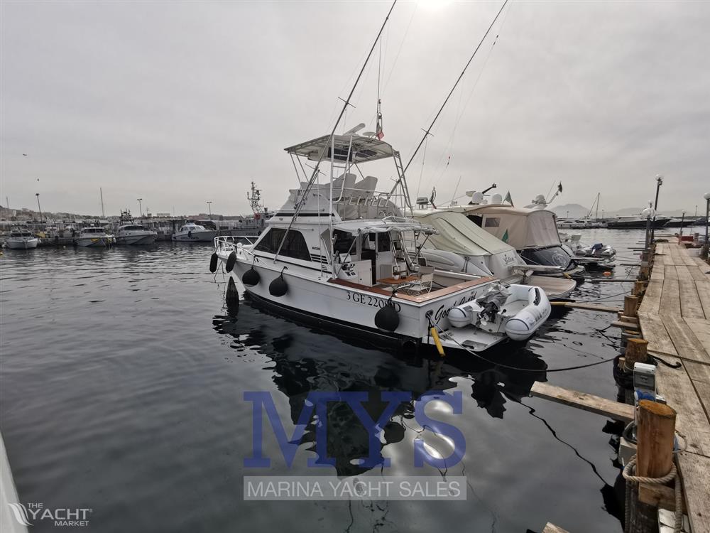 Blackfin 38 convertible - Blackfin 38 Profilo.jpg