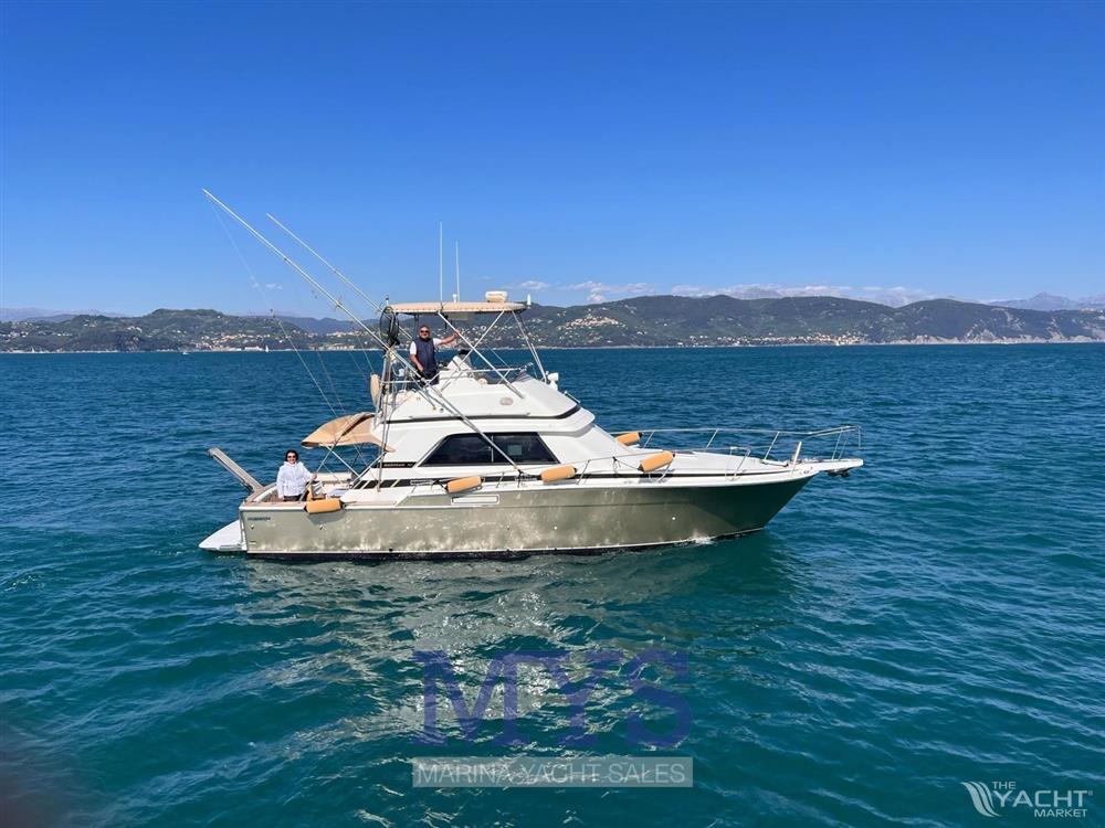 Bertram Yacht 37&#39; Convertible - BERTRAM 37 CONVERTIBLE (135)