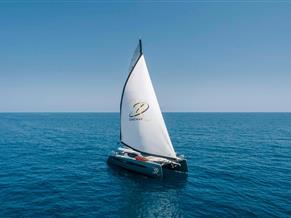 Privilege signature 580