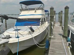 Chris-Craft Commander Sport 360