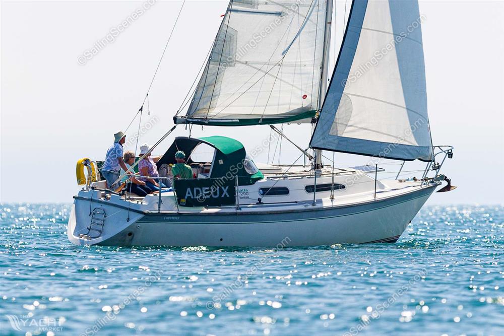 Westerly Regatta 290