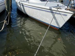 Catalina Catalina 36 MkII