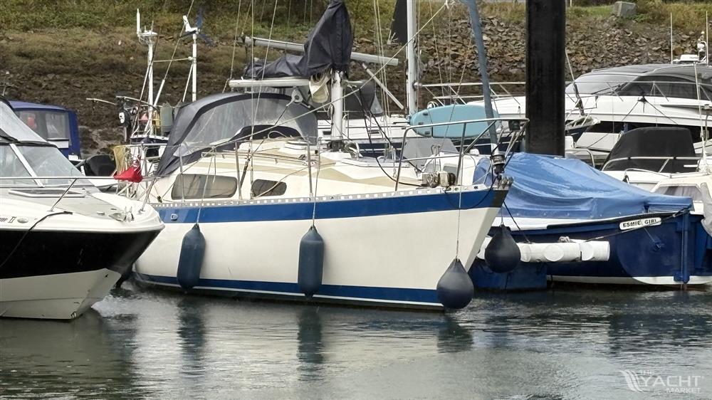 Sadler Phoenix 27 - IMG 3460