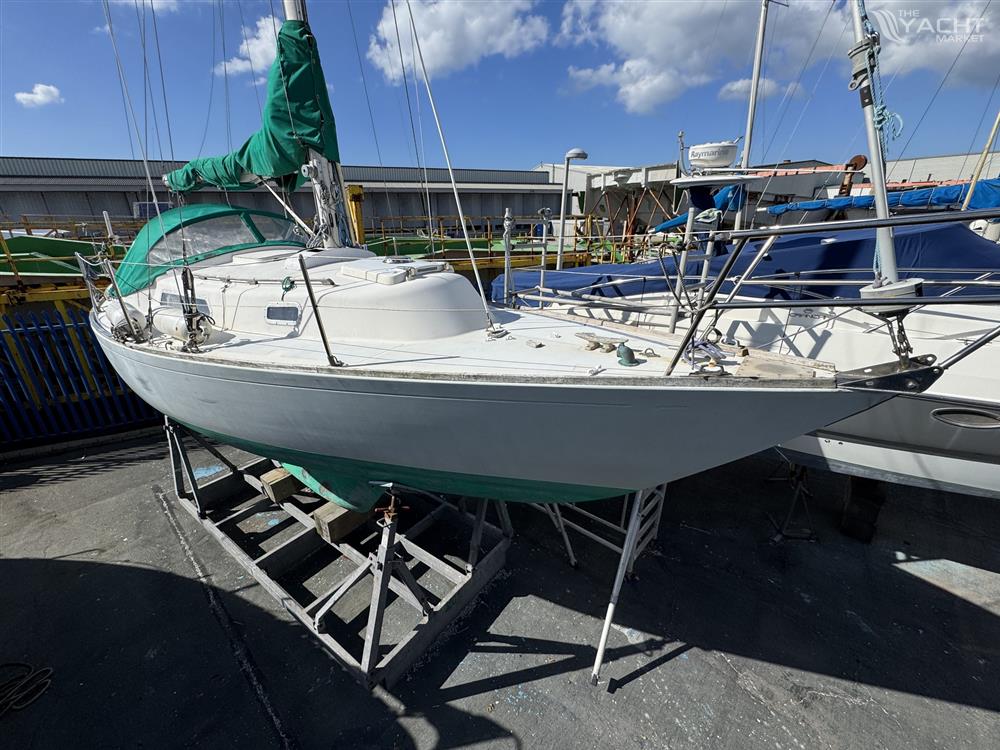 Hustler 30 - IMG 8831