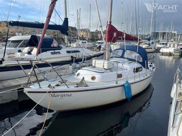 Wing 25 - 8591574 20221115060737659 1 XLARGE