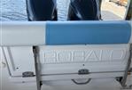 Robalo S300