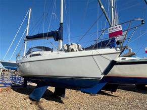 Hunter Hunter Horizon 30