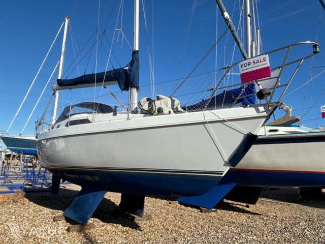 Hunter Hunter Horizon 30