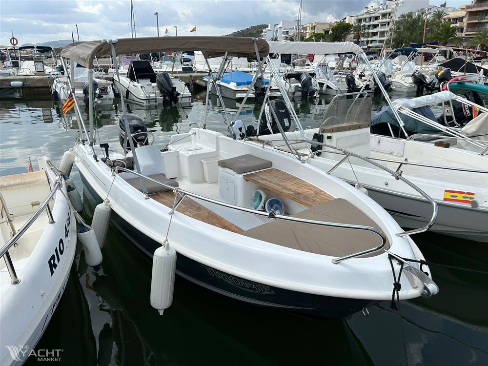 Cap ferret 452 fisher