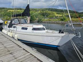 Trident Marine Warrior 35