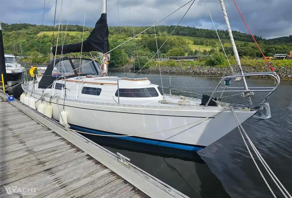 Trident Marine Warrior 35
