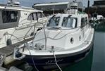 Seaward 29
