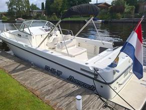 Shamrock 246 Adventure Kajuitboot