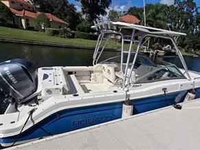 Robalo 247