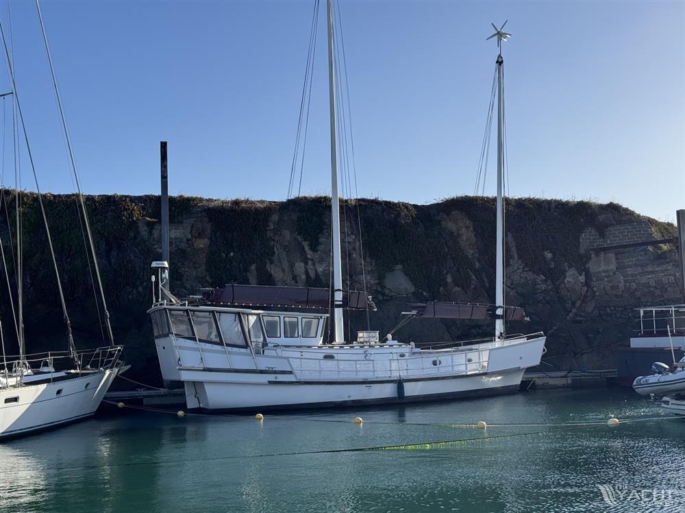 Jonque de Plaisance Based on Chinese Junk