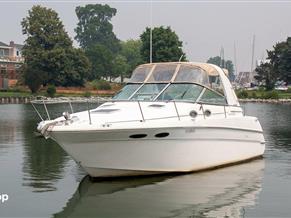 Sea Ray 290 Sundancer