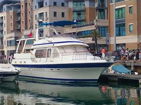 Trader 475 Signature