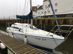 Hunter Horion 27 T/K